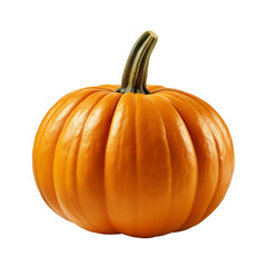 Obraz premium Fresh ripe pumpkin isolated on black background for Halloween and autumn decor