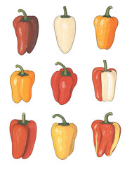Vintage Illustration of Colorful Peppers