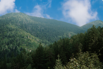 Lush green forested hills under cloudy skies in a tranquil mountainous region during late afternoon