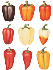 Vintage Illustration of Colorful Peppers