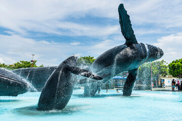 View of the Whale Water Square at the National Museum of Marine Biology and Aquarium in Kenting National Park of Pingtung, Taiwan.