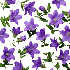 Close-Up of Purple Flowers, Vibrant Green Leaves, Natural Botanical Detail