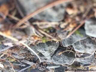 close up pile of rocks 