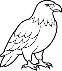 Eagle line art vector illustration wildlife sketch