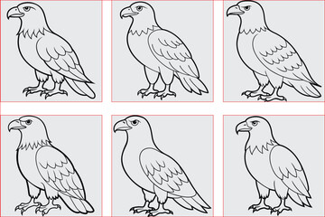 Set of Eagle line art vector illustration hunting symbol