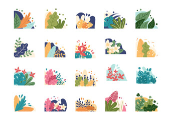 Fototapeta premium Aesthetic Plant Corner Element Set 