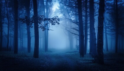 Obraz premium The forest at night with fog creepy atmosphere landscape haunting illustration background