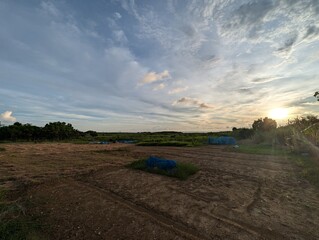 landscape with a field