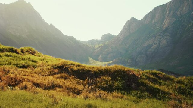 highland plateau between rocky mountains in the misty dusk