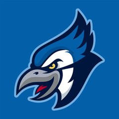 Blue jay bird mascot logo, with sharp beak and fierce expression on blue background.