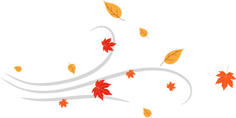 Autumn Wind Blown Leaves