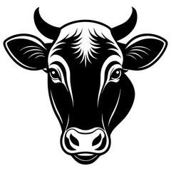 black and white cow