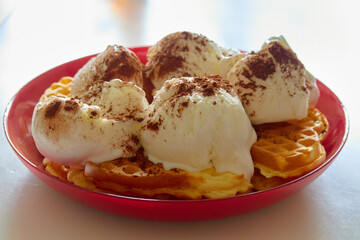 Waffles with ice-cream.