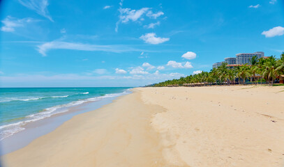 beach with palm trees and sea