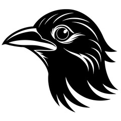 eagle head vector