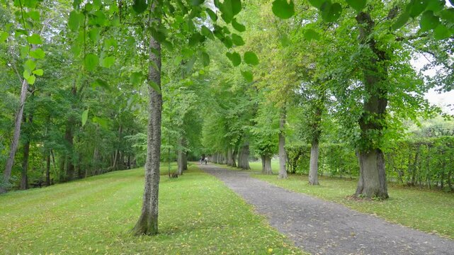 Alley with green trees in stockholm Ulriksdal. People going for a walk in the park