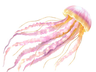  Pink yellow jellyfish isolated background © Florencute