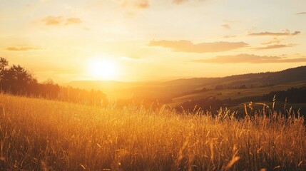 Obraz premium A clear sky during sunset, with a warm golden glow spreading across a tranquil landscape.