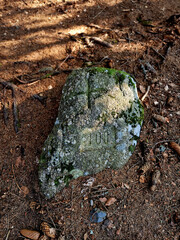 division of forest land using markers on stones. a monument to the settlement of mountain areas