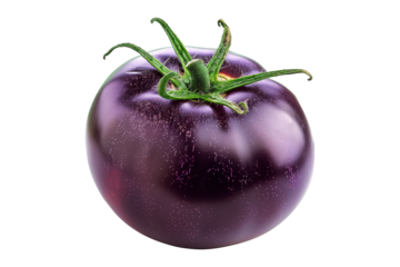 Purple tomato with a green stem isolated on a white background.