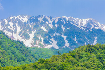 Fototapeta premium 日本の風景・初夏 立山黒部アルペンルート 黒部ダム（黒部湖）