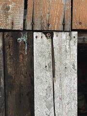 Vintage grunge old aged boards, old peeling paint, rustic weathered tree branch, wood slice, old peeling paint, wood bark, logs, paper background