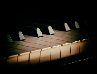 champignon mushrooms are on the shelf in the store