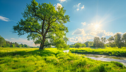 Obraz premium Serene riverside view with a large tree in a sunlit field. A peaceful riverside landscape featuring a large tree, lush green grass, and sunlight filtering through fluffy clouds