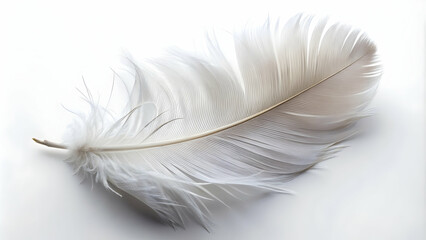 Obraz premium White Feather on White Background: Delicate and elegant, this single white feather rests on a stark white backdrop, creating a minimalist and serene image that evokes feelings of peace, tranquility, a