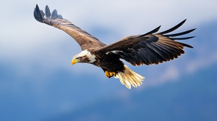 Obraz premium A majestic eagle soaring through the skies, its keen eyes scanning the waters below. With lightning-fast reflexes, it dives towards the surface