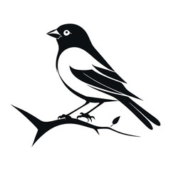 A set of sparrow silhouettes vector art.
