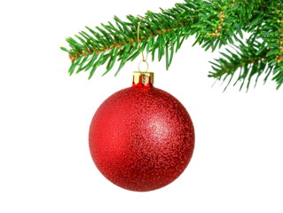 Shiny red ball hanging on green branch of Christmas tree