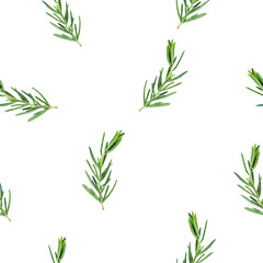 Obraz premium A Beautiful Watercolor Pattern Featuring Fresh Rosemary Leaves Set Against a Pure White Background