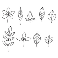 Leaves set, vector illustration hand drawing doodles