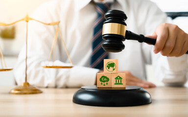 international environment Law. climate regulation concept. law principles of sustainable...