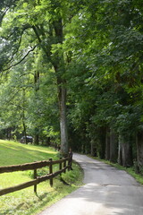 Landscape nature mountain scenery, green touristic view, hiking journey outdoor panorama. Summer trip to blossom valley reserve