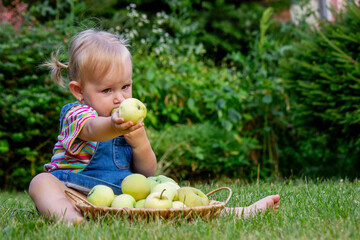 little girl with apples in the garden.