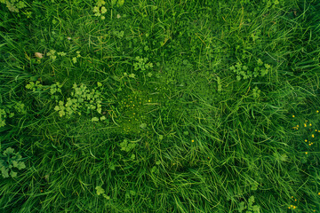 Aerial View of Empty Green Grass Field Background