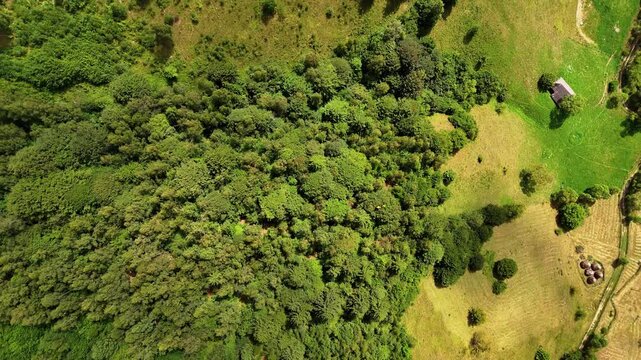 Top down view over trees covering a hill panning up revealing clouds over the mountains