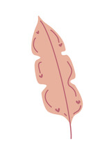 Leaf autumn plant natural seasons pastel illustration drawing painting