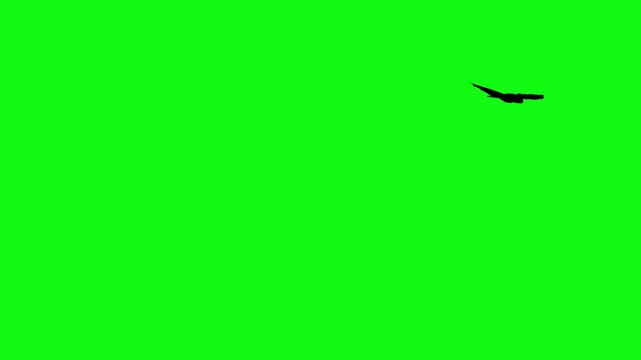 Flitter-mouse Silhouette fly on green screen animation, Halloween element