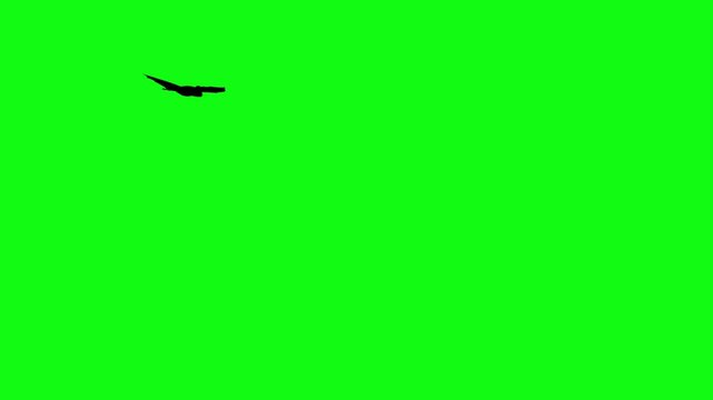 Flitter-mouse Silhouette fly on green screen animation, Halloween element