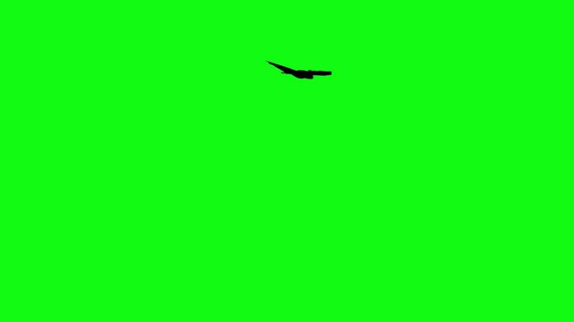 Flitter-mouse Silhouette fly on green screen animation, Halloween element