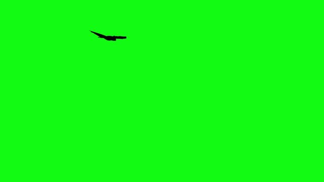 Flitter-mouse Silhouette fly on green screen animation, Halloween element