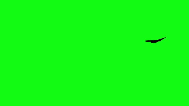Flitter-mouse Silhouette fly on green screen animation, Halloween element