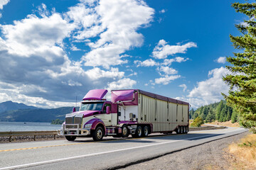 Purple and white day cab big rig semi truck with roof spoiler transporting cargo in covered bulk...