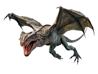 Fototapeta premium Flying Pterodactyl isolated on transparent and white background