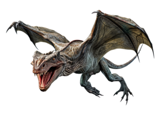 Flying Pterodactyl isolated on transparent and white background
