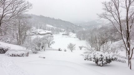 Snowy Winter Landscape with Forest and Houses