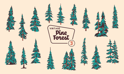 Pine Tree Vector Illustration Set - Hand-Drawn Vintage Mid-Century Style Designs.